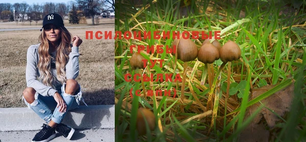 дмт Аркадак