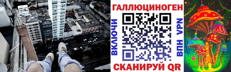 Купить закладки  Вытегра  Галлюциногенные грибы Psilocybine cubensis 