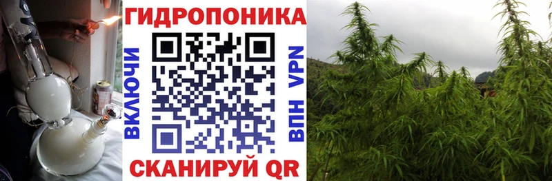 Конопля ГИДРОПОН  Купить закладки  Вытегра 